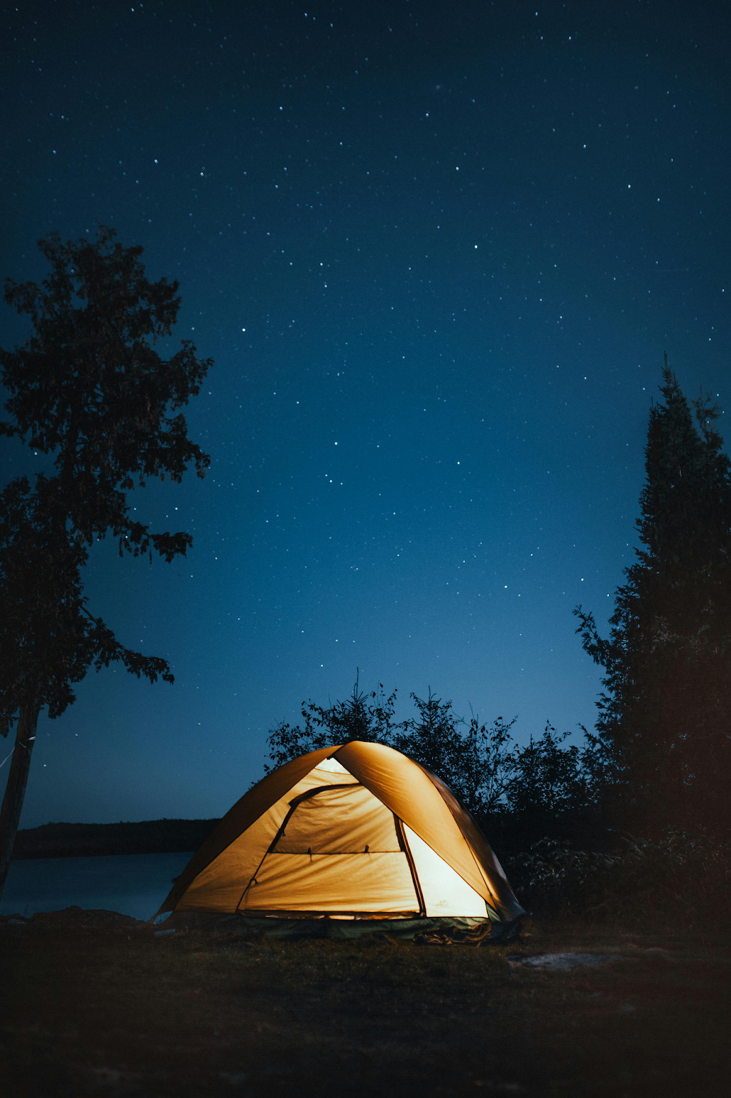 A glowing yellow tent sits at a dark campsite at night, framed by silhouettes of evergreen trees. Above, a vast, clear dark blue sky is filled with thousands of bright stars.