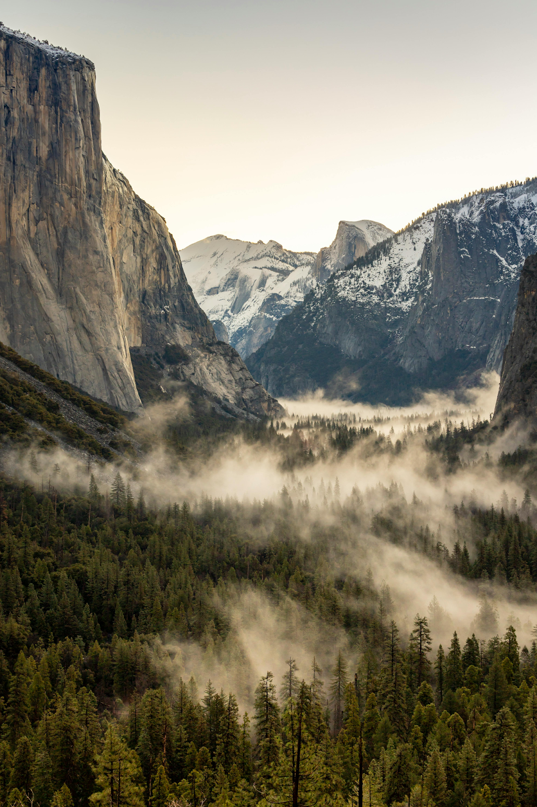 A vertical landscape of Yosemite Valley featuring the massive granite cliff of El Capitan on the left. Mist and low clouds drift through a dense evergreen forest on the valley floor, with snow-dusted peaks in the distance.
